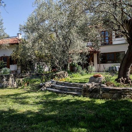 Villa Piges Milína Exterior foto