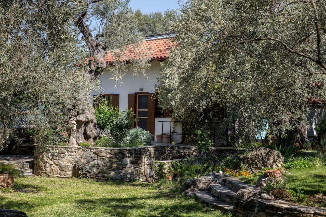 Villa Piges Milína Exterior foto