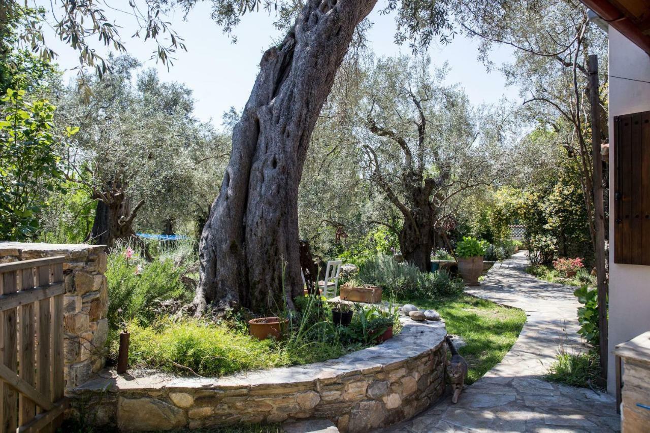 Villa Piges Milína Exterior foto